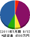 染谷組 貸借対照表 2011年5月期