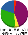 縄田光行建設 貸借対照表 2012年8月期