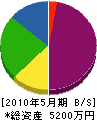 シロヤマ 貸借対照表 2010年5月期