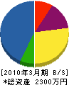 牧田電気商会 貸借対照表 2010年3月期