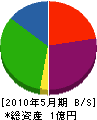 水嶋電気工事 貸借対照表 2010年5月期
