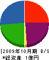 ミヤケン 貸借対照表 2009年10月期 ミヤケン 貸借対照表 2009年10月期