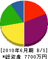 松崎建材 貸借対照表 2010年6月期