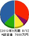 芳賀住宅工業 貸借対照表 2012年9月期