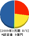 日東紡エコロジー 貸借対照表 2009年3月期