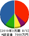 増田電気商会 貸借対照表 2010年3月期