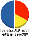松山電工 貸借対照表 2010年5月期