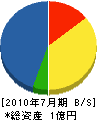 タムラ 貸借対照表 2010年7月期