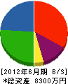 須田ホームサービス 貸借対照表 2012年6月期