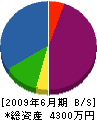 東九設備サービス 貸借対照表 2009年6月期