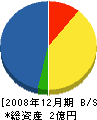 寺田組 貸借対照表 2008年12月期