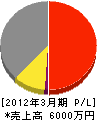 岩井田工業 損益計算書 2012年3月期