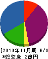 Ａ・Ｑコーポレーション 貸借対照表 2010年11月期