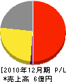 ロトルクジャパン 損益計算書 2010年12月期