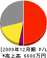 松本社寺建設 損益計算書 2009年12月期
