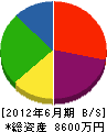 松戸工業所 貸借対照表 2012年6月期