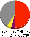 竹澤工業 損益計算書 2007年12月期
