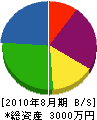 佐藤商店 貸借対照表 2010年8月期