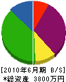 サイタ 貸借対照表 2010年6月期 サイタ 貸借対照表 2010年6月期
