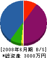 迫田建設 貸借対照表 2008年6月期