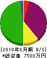 渋谷工務店 貸借対照表 2010年6月期