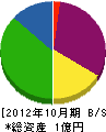 丸井工業 貸借対照表 2012年10月期