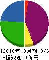 小嶌電工 貸借対照表 2010年10月期 小嶌電工 貸借対照表 2010年10月期