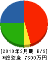松口工務店 貸借対照表 2010年3月期