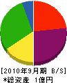 東川建設 貸借対照表 2010年9月期