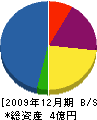藤川電設工業 貸借対照表 2009年12月期