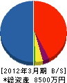 生田目工務店 貸借対照表 2012年3月期