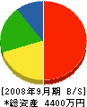 上野産業 貸借対照表 2008年9月期