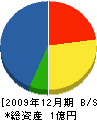大塚電設工事 貸借対照表 2009年12月期