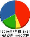 井原工業所 貸借対照表 2010年7月期