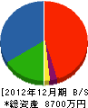 イワシタ舗道 貸借対照表 2012年12月期