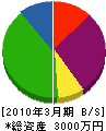 小野商会 貸借対照表 2010年3月期