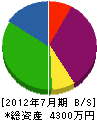 弘美インテリア 貸借対照表 2012年7月期