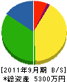 山川建設 貸借対照表 2011年9月期