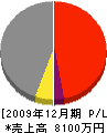 辰巳工務店 損益計算書 2009年12月期