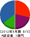津川組 貸借対照表 2012年9月期
