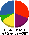 タセイ 貸借対照表 2011年10月期