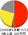 サンスイ 損益計算書 2009年6月期