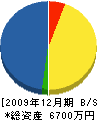 石尾水道 貸借対照表 2009年12月期
