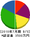 平田工務店 貸借対照表 2010年7月期
