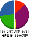 妙高住設 貸借対照表 2012年7月期