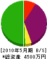 矢口グリーン 貸借対照表 2010年5月期