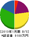 湯浅電気工業所 貸借対照表 2013年1月期