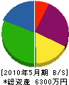 斉藤興業 貸借対照表 2010年5月期