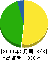 海陽 貸借対照表 2011年5月期