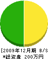 田中建業 貸借対照表 2009年12月期 田中建業 貸借対照表 2009年12月期